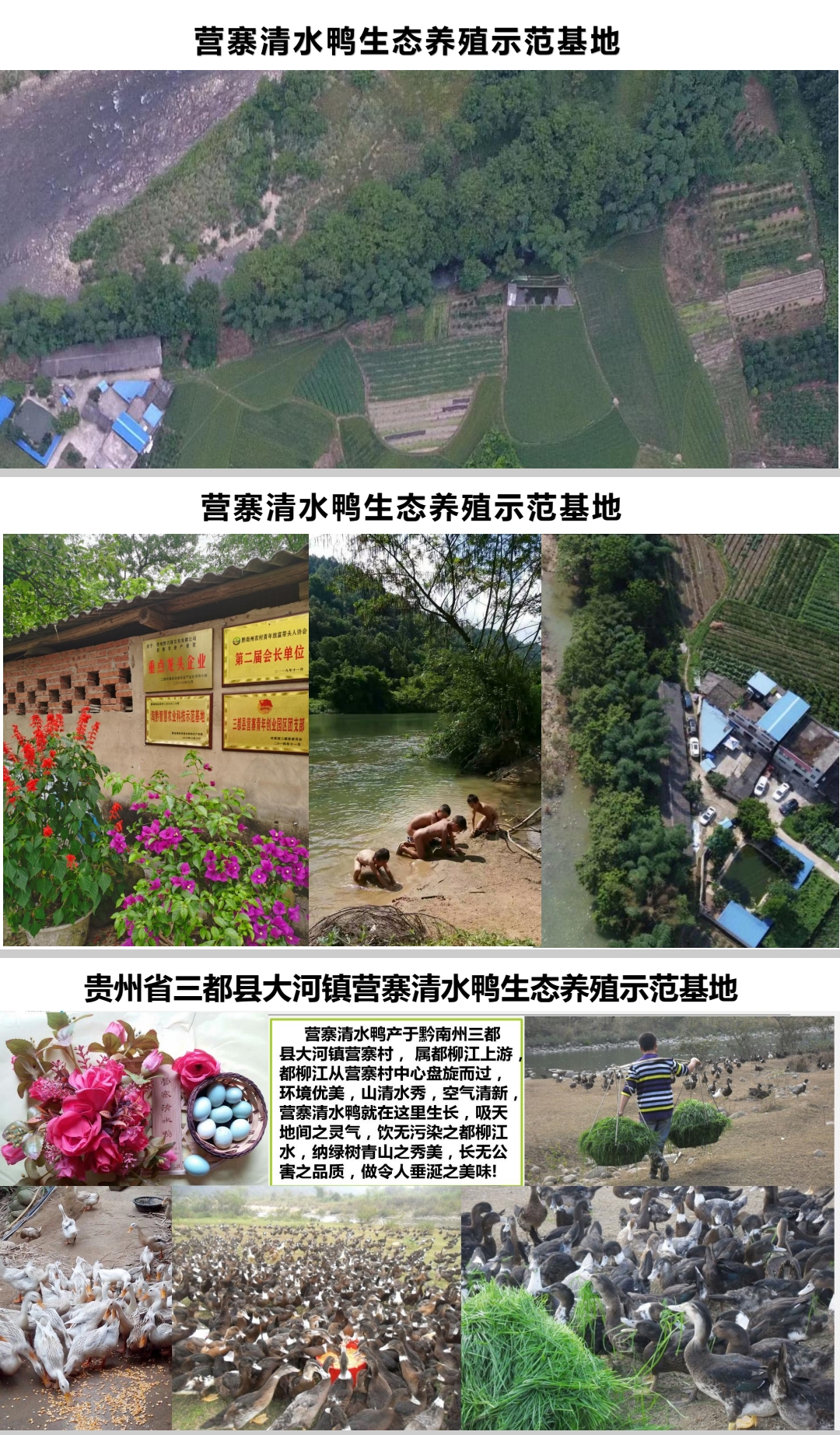 微信图片_20250215131646.jpg