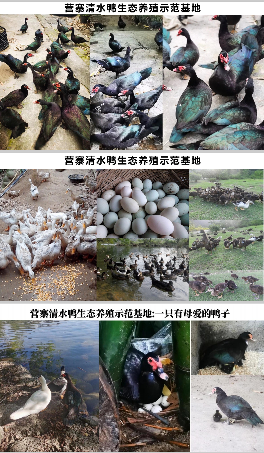 微信图片_20250215131651.jpg