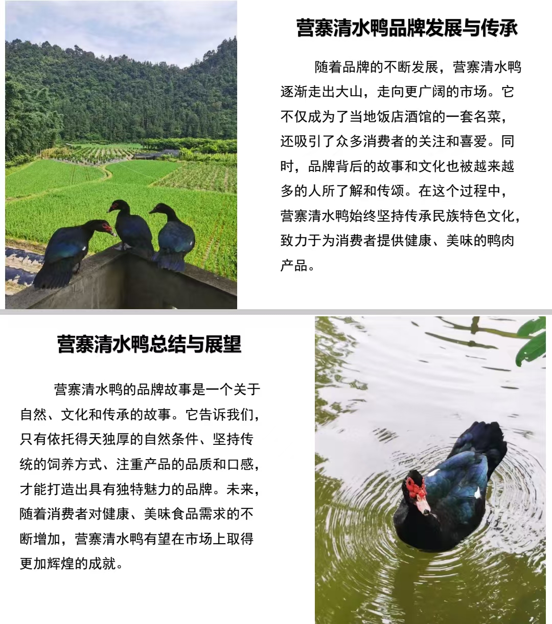 微信图片_20250215131709.jpg