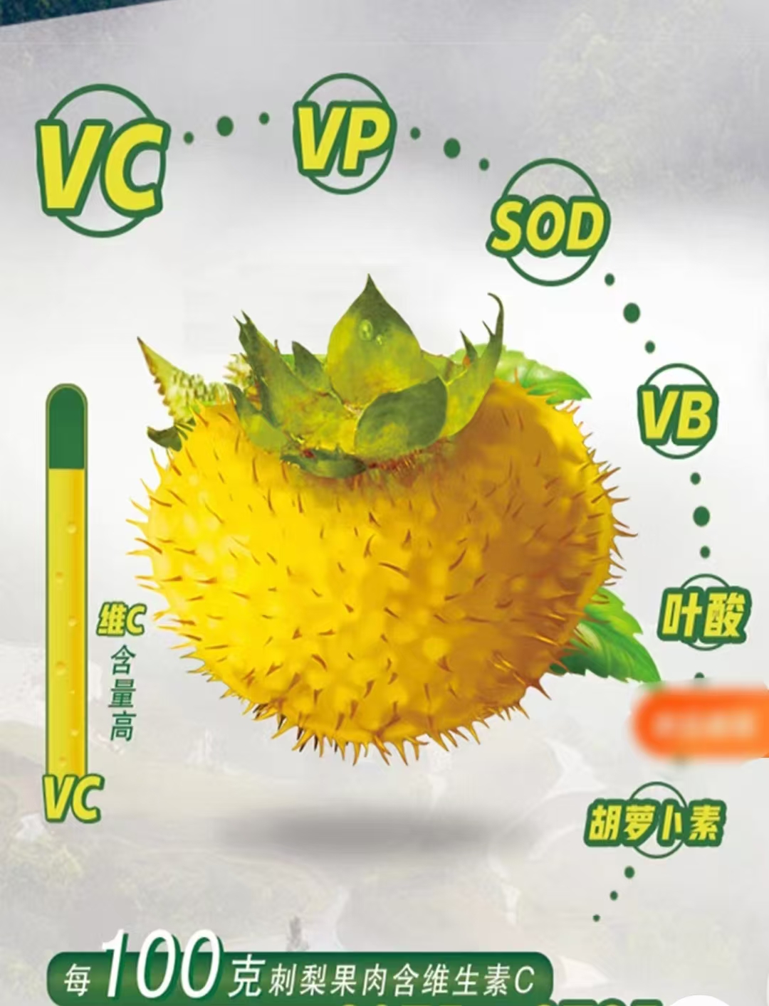 微信图片_20241127111502.jpg