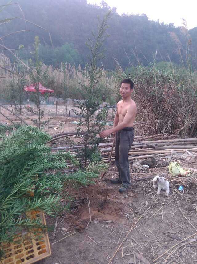 mmexport1599758463826.jpg