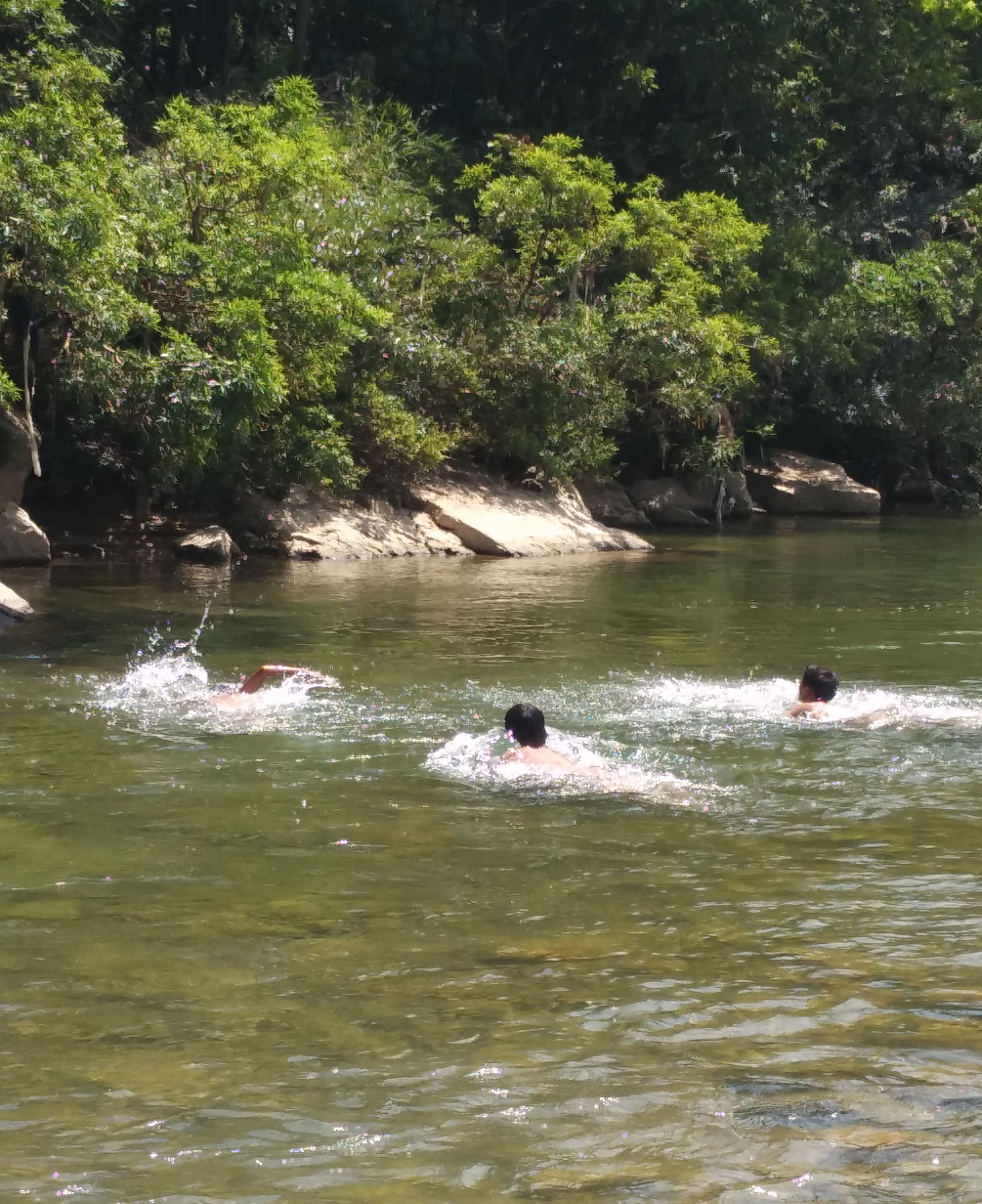 IMG_20160731_141623.jpg