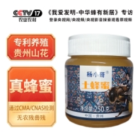 杨小哥土蜂蜜.png