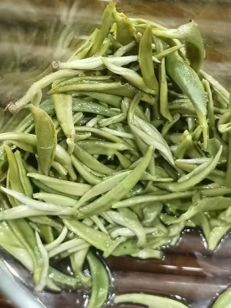 毛尖明前茶
