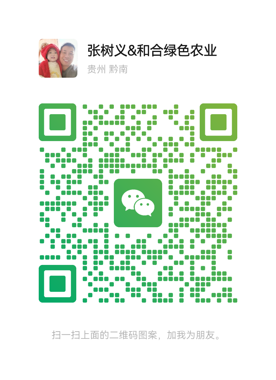 mmqrcode1743224865705.png