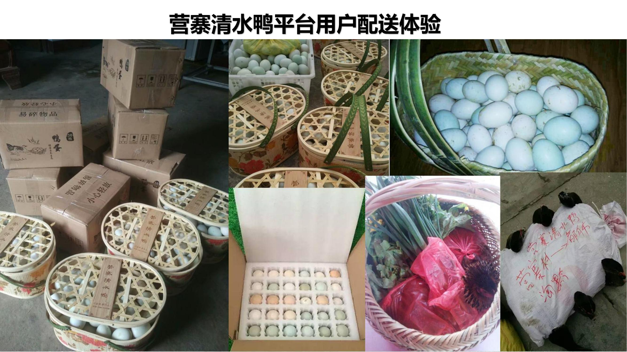 营寨清水鸭(养一辈子鸭，爱一个女人)(1)_24.jpg