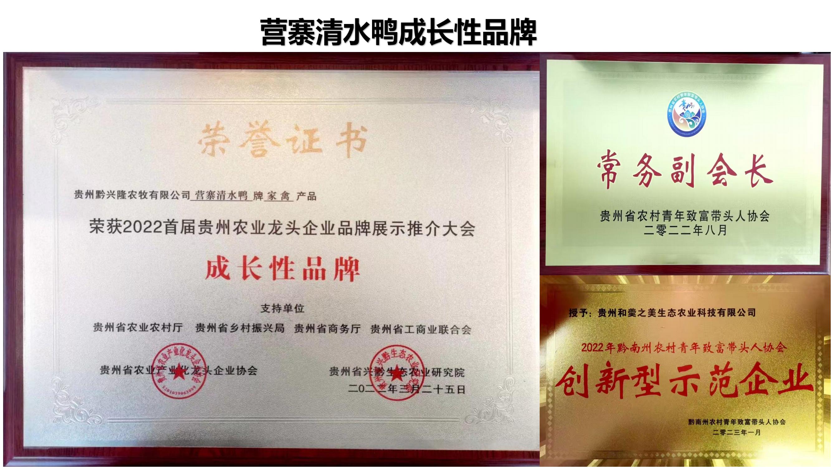 营寨清水鸭(养一辈子鸭，爱一个女人)(1)_33.jpg