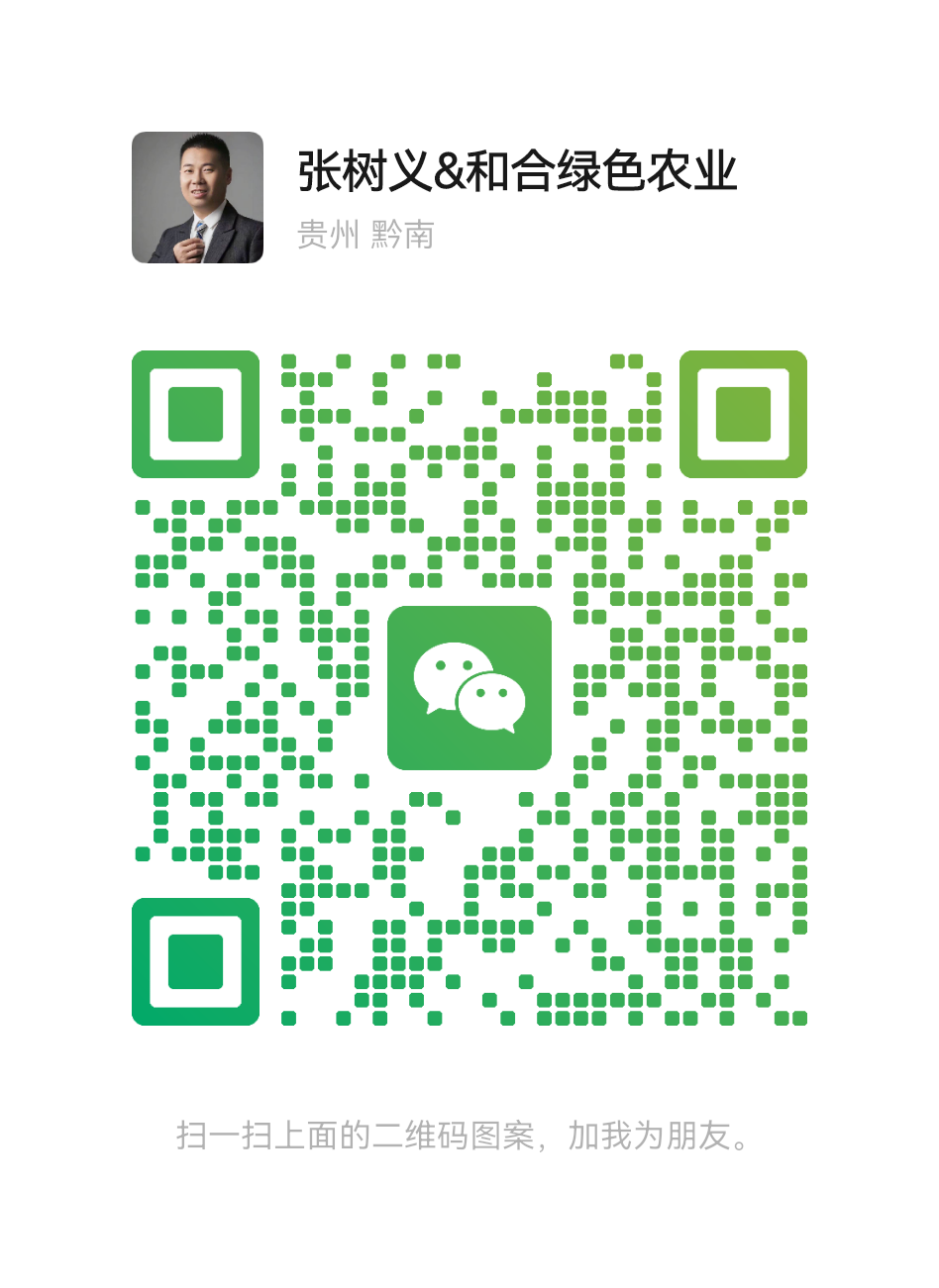 mmqrcode1745630725020.png