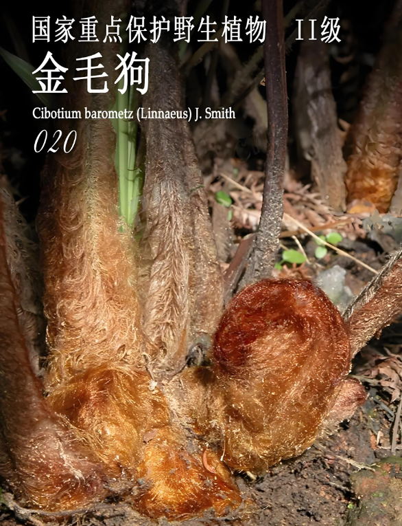 微信图片_20250622011459.png
