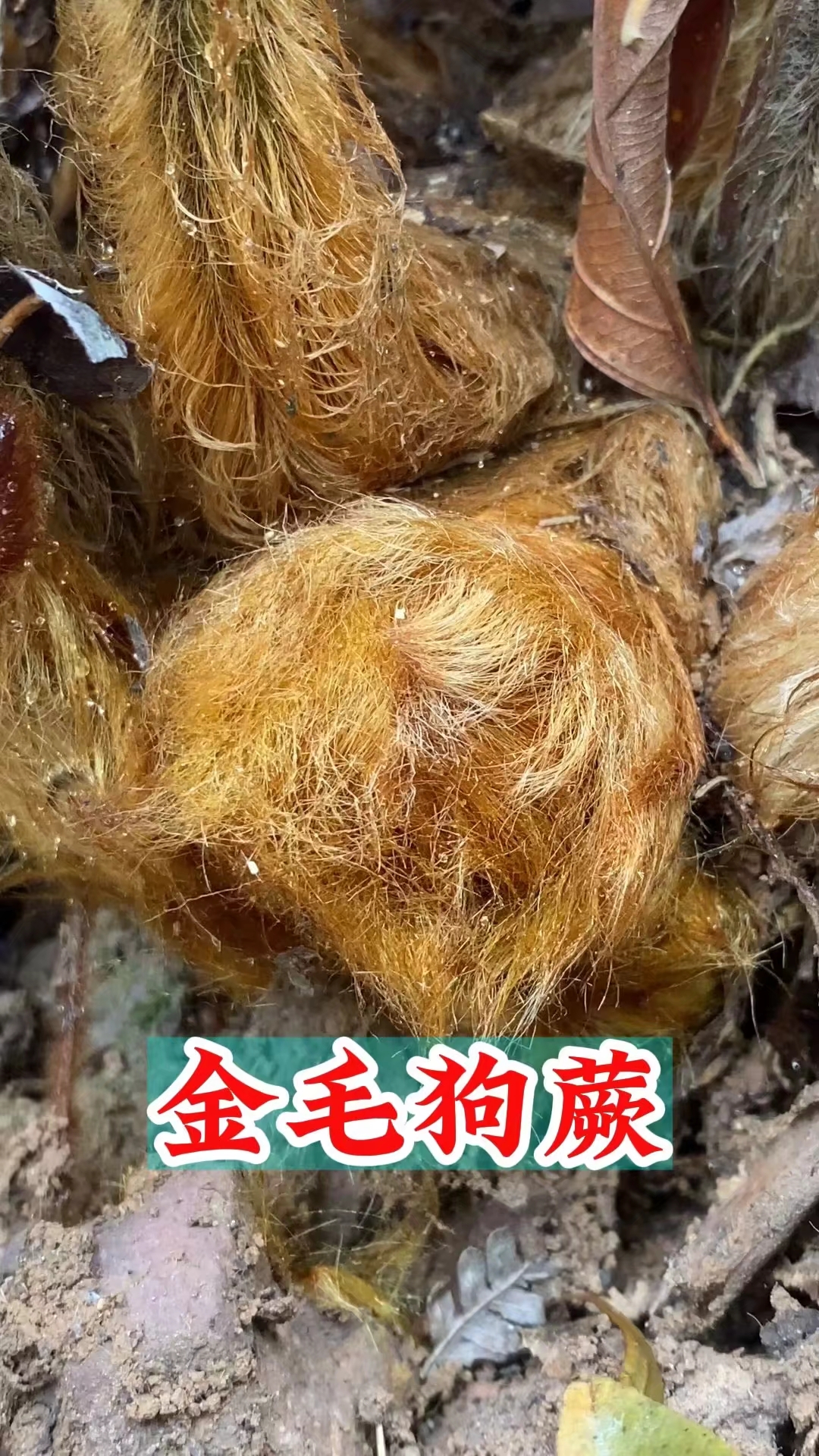 微信图片_20250622011454.jpg