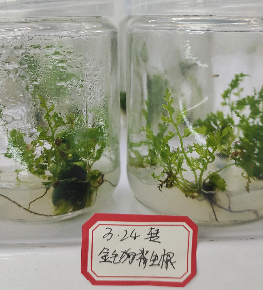 微信图片_20250622011553.png